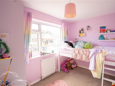 Picture 13